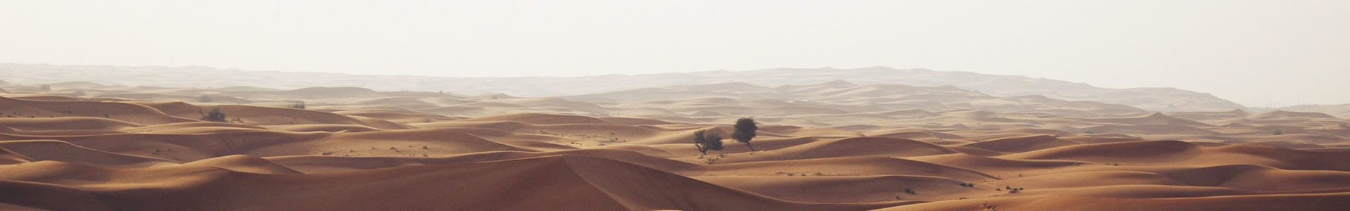 ɽћϢƼ޹˾